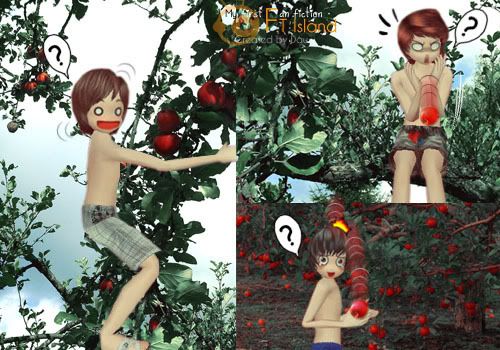 ff17.jpg
