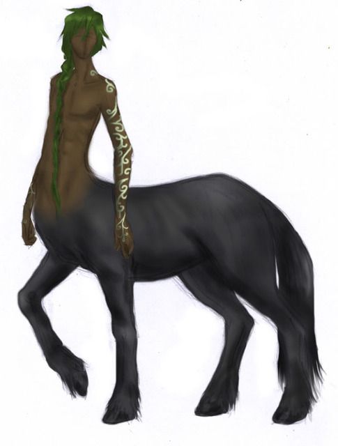Kép