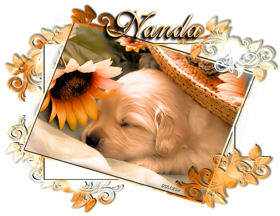 nanda-8.png picture by Benfikista_2008