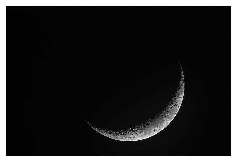 lunar302.jpg