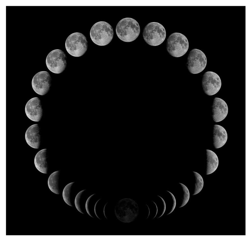 moonmonthcircle-1.jpg
