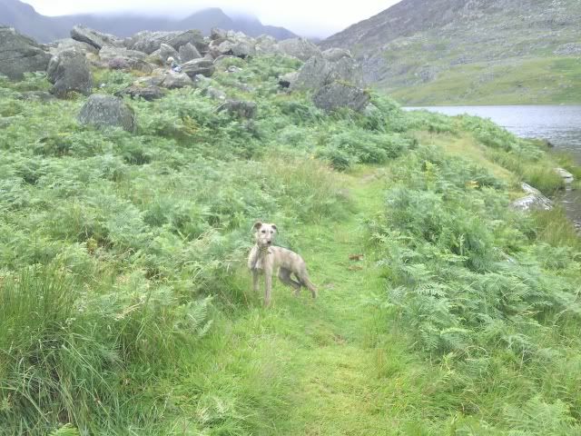 IMG-20110812-00023.jpg