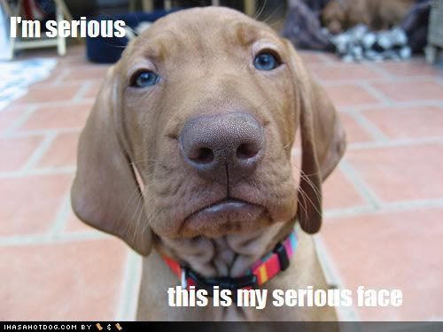 serious.jpg