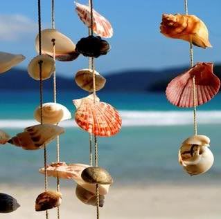 sea shell windchime Pictures, Images and Photos