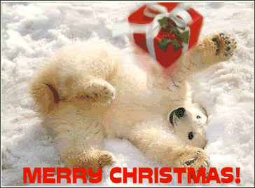polar bear christmas presentation