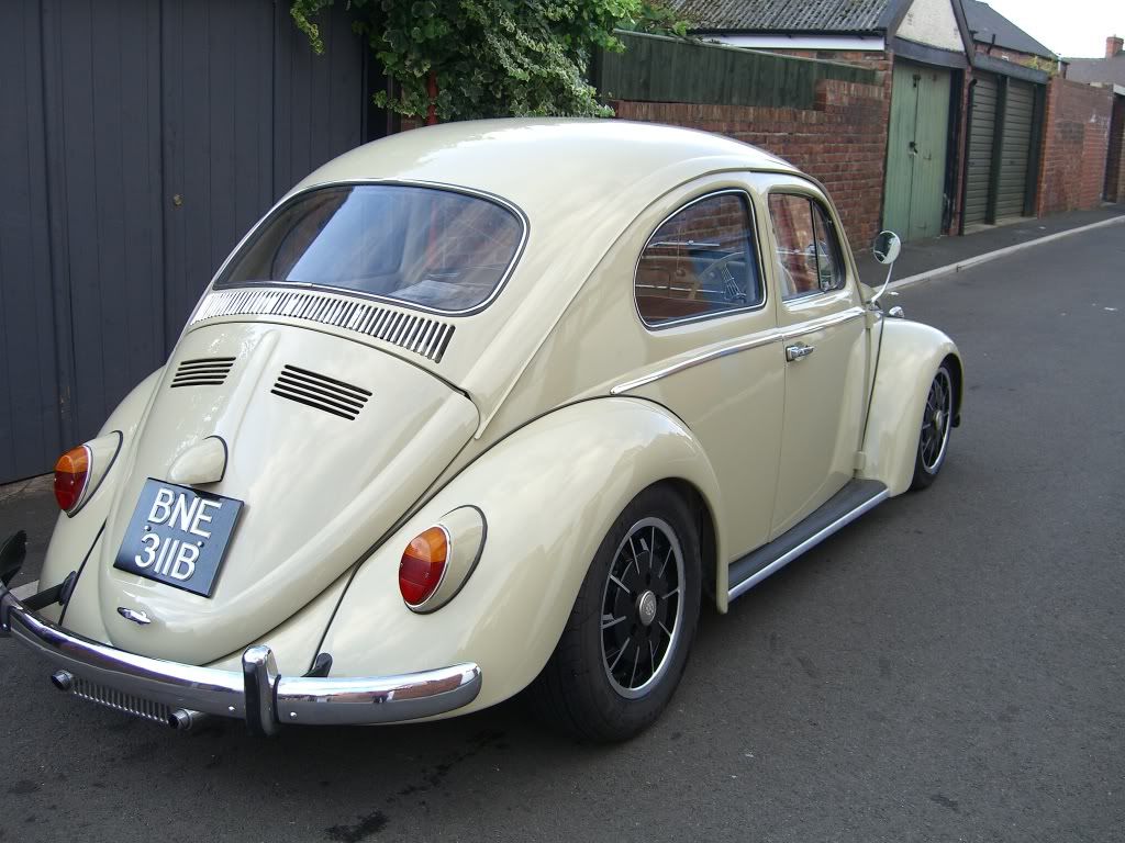 beige beetle