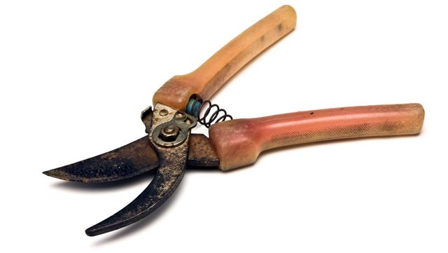 rusty shears photo pruning-shears_zps0d7a9f34.jpg