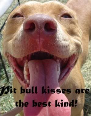 kisses.jpg dog kisses image by glittergurl_05