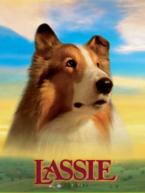 Marciel Noronha Downloads Lassie 1994 Dublado [dvd Rip]