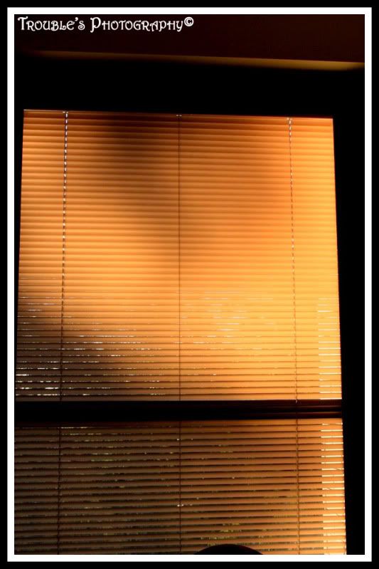 hospital blinds