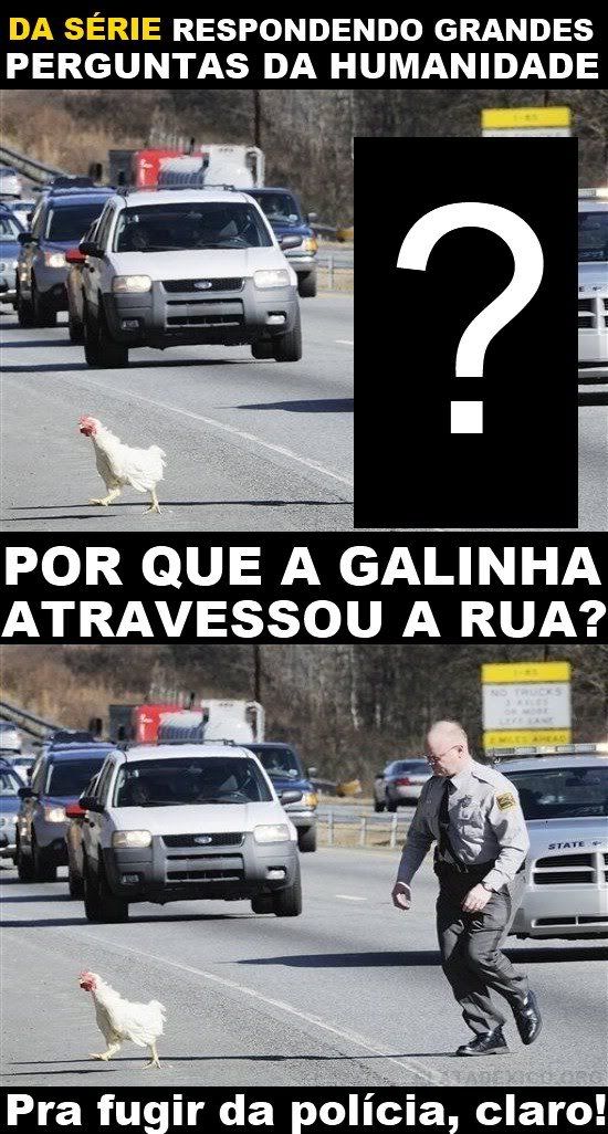resposta porque galinha atravessou rua