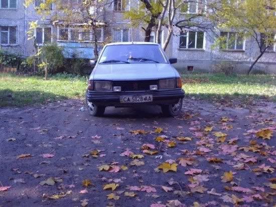 fotos engracadas da semana