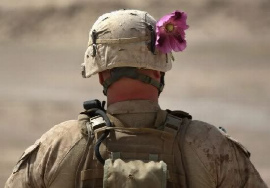 fotos engracadas da semana