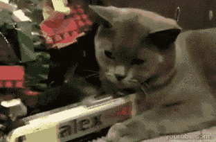 gifs engracados