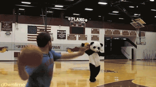 gifs engracados