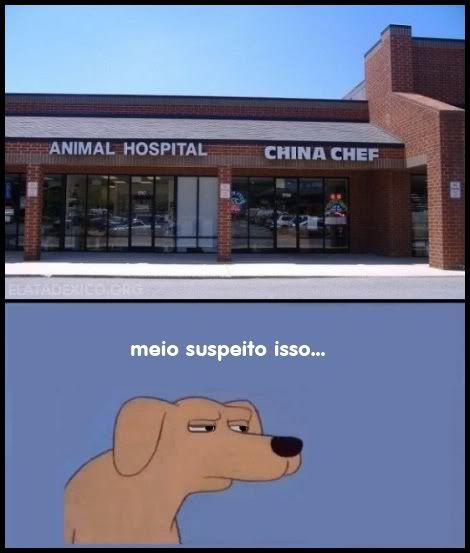 cachorro hospital restaurante