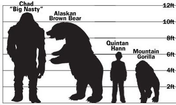 size-comparison.jpg