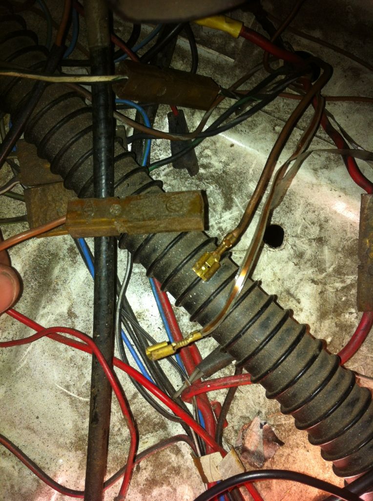 Image may have been reduced in size. Click image to view fullscreen.