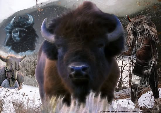 3536028-3-buffalo-medicine.jpg picture by onethunderfoot
