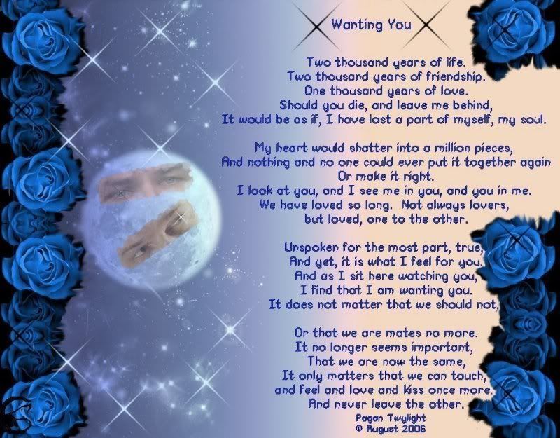 Wanting You Poem