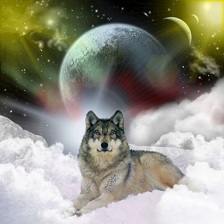 fantasywolf.jpg