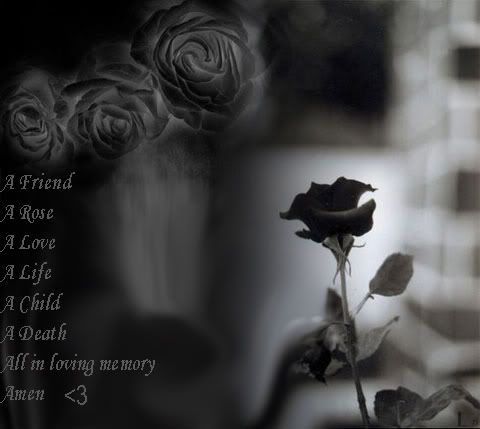 roses-4.jpg black roses image by xxxemodanixxx