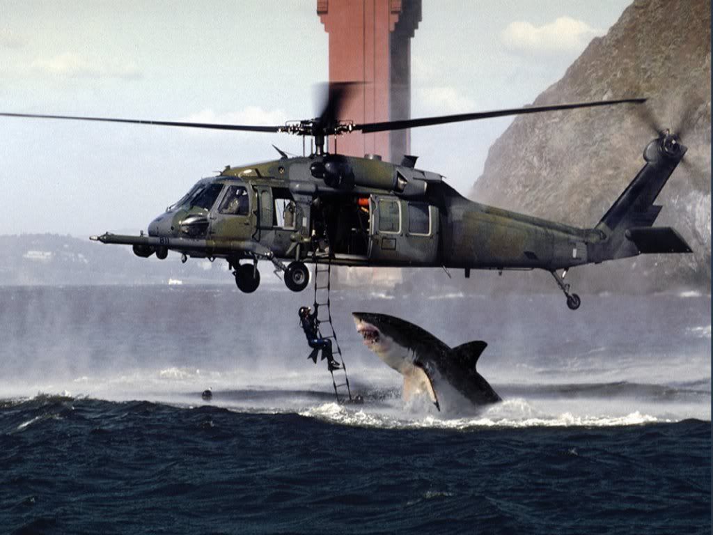 SharkAttackHelicopter.jpg