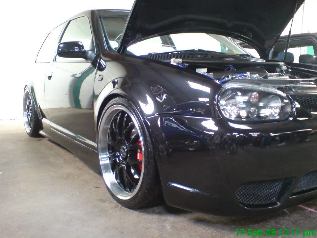 Posted Image