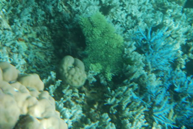 Marine Sanctuary Marine Sanctuary