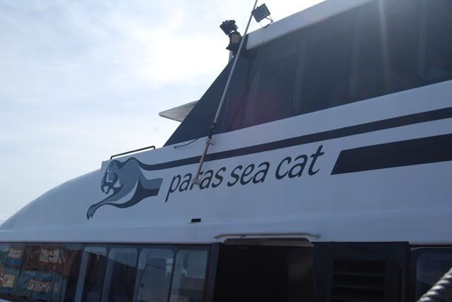 paras sea cat