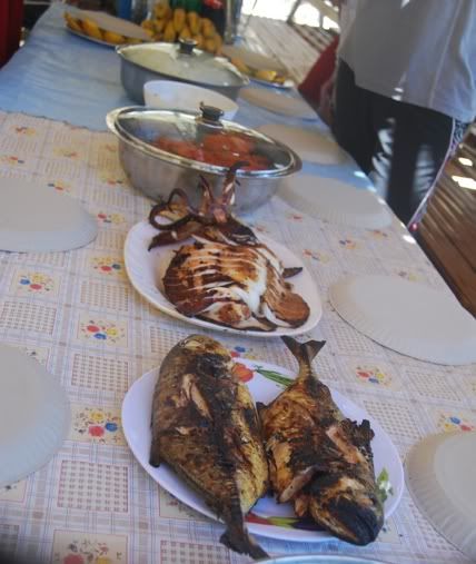 Lunch Lunch