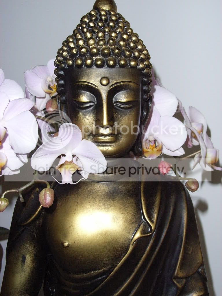 buddha.jpg