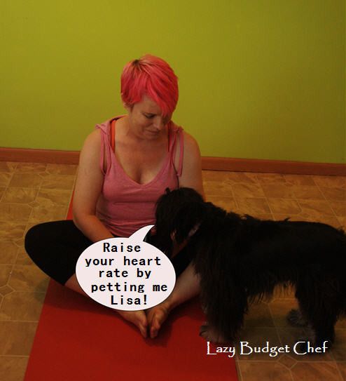 dog interrupting yoga for pets