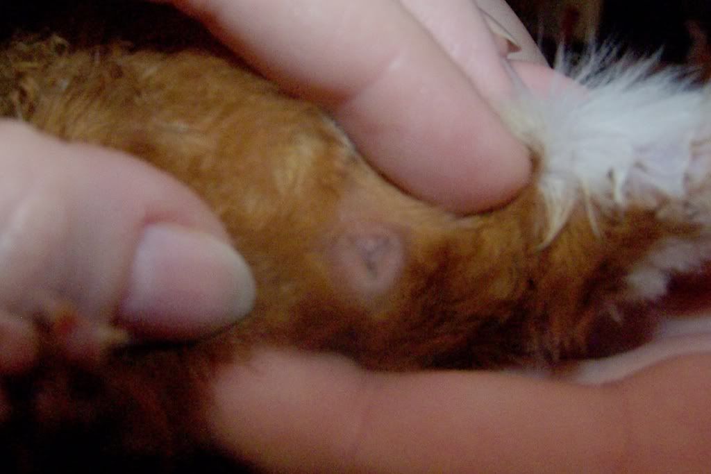 100_3747.jpg