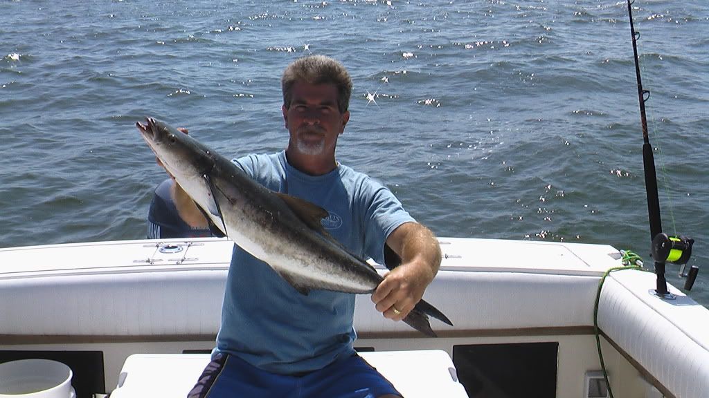 Fishing Report - Another Small Cobia 6/28/08 | Tidal Fish Forum