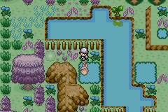 [PokeCommunity.com] ^^ *Pokémon Darkblue Version* ^^ [BETA 1 Available]