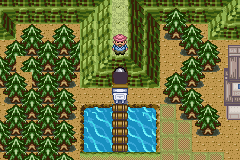 [PokeCommunity.com] ^^ *Pokémon Darkblue Version* ^^ [BETA 1 Available]