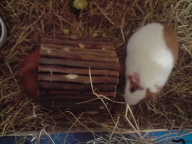 P301008_1427.jpg